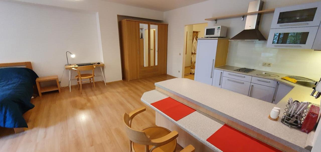 Apartment 46m2 S Balkonem V Lazenskem Centru Karlovy Vary